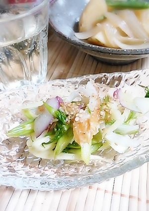 スティッキオ（フェンネル）の酢の物-レシピのメイン写真