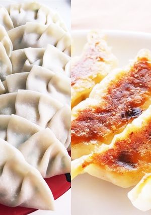 じゃこチーズ餃子-レシピのメイン写真