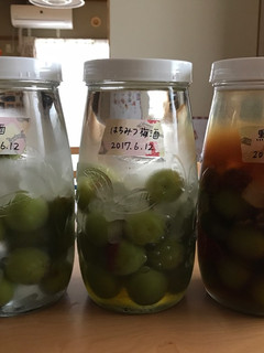 梅の下処理-レシピのメイン写真
