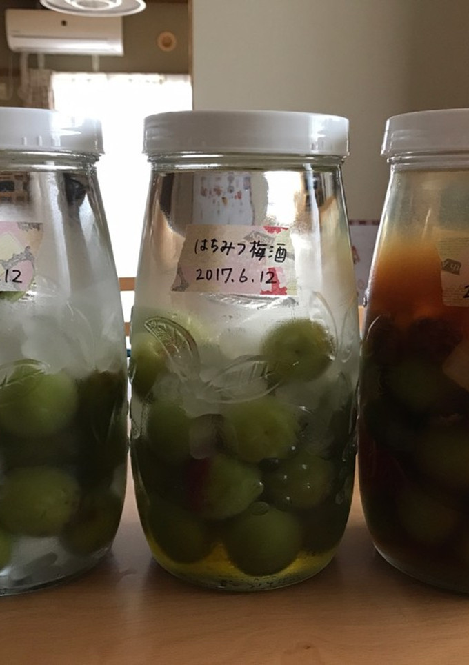 梅の下処理-レシピのメイン写真