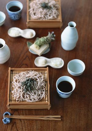 冷たい麺の季節♪おだしの効いた本返し-レシピのメイン写真
