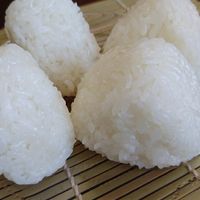 基本からアレンジまで！思わずつくりたくなる「塩おにぎり」の