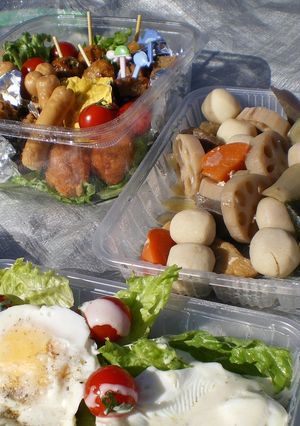 ある日のピクニック弁当-レシピのメイン写真