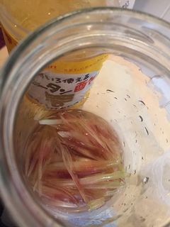 カンタン酢旨ミョウガ-レシピのメイン写真