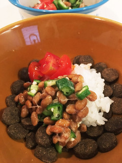 犬ごはん 納豆オクラ丼-レシピのメイン写真