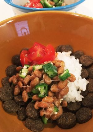 犬ごはん 納豆オクラ丼-レシピのメイン写真
