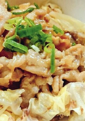 簡単うまい！！甘味噌ダレの豚肉丼！！-レシピのメイン写真