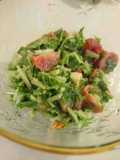 簡単★水菜とチーズのゴマサラダ-レシピのメイン写真