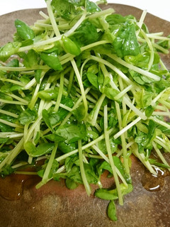 簡単3分♪豆苗のタイ風しゃきしゃきサラダ-レシピのメイン写真