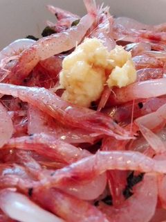 生桜えび丼-レシピのメイン写真