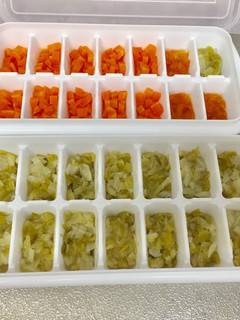 炊飯器で簡単!離乳食用野菜-レシピのメイン写真