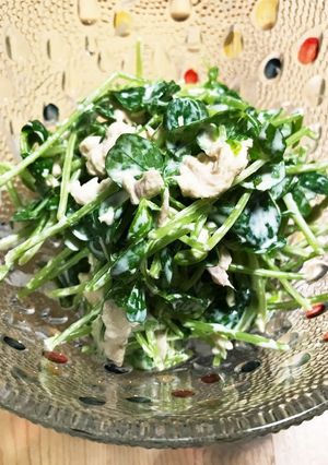 豆苗とツナのラー油マヨサラダ-レシピのメイン写真
