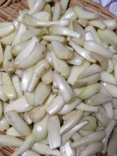 塩らっきょう 覚え-レシピのメイン写真