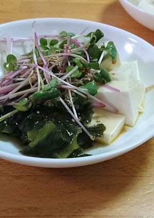 豆腐ワカメ貝割れごま油ポン酢醤油サラダ-レシピのメイン写真