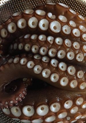 たこのゆで方-レシピのメイン写真