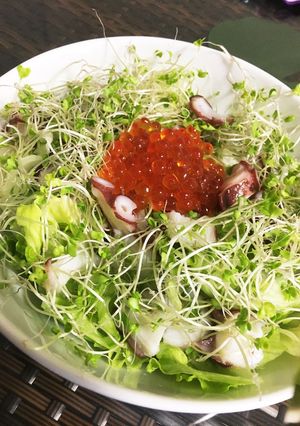 ヘルシー海鮮サラダ♪-レシピのメイン写真
