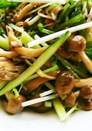 水菜ときゅうりとしめじのサラダ-レシピのメイン写真