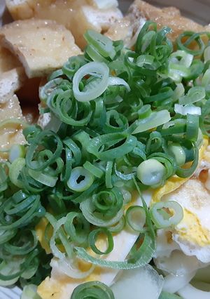 茹でうどん玉で作る冷やしうどん-レシピのメイン写真