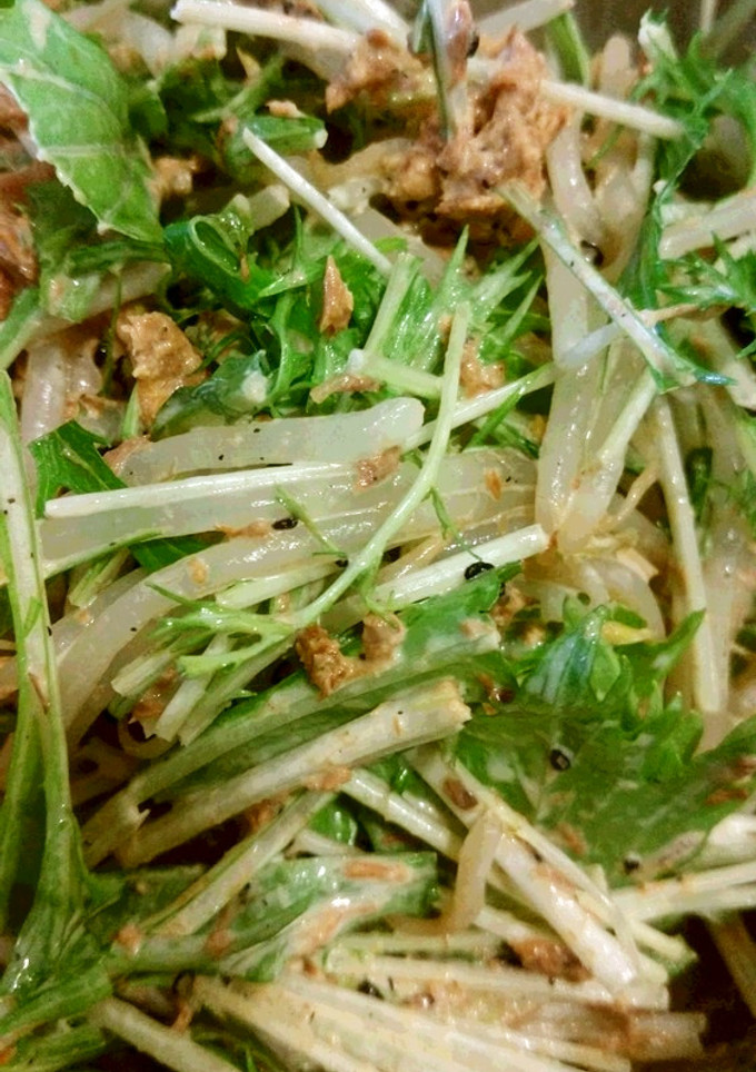 さば缶で水菜ともやしのサラダ-レシピのメイン写真