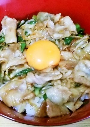 【カロリーオフ】もやし入りスタミナ丼-レシピのメイン写真