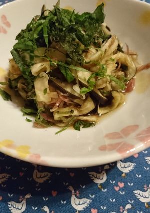 ☆ 長茄子と茗荷の さっぱり和え ☆-レシピのメイン写真