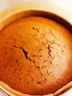 ジェノワーズ(スポンジ生地) ショコラ-レシピのメイン写真
