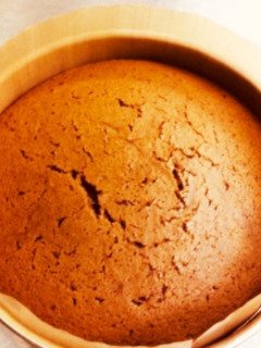 ジェノワーズ(スポンジ生地) ショコラ-レシピのメイン写真
