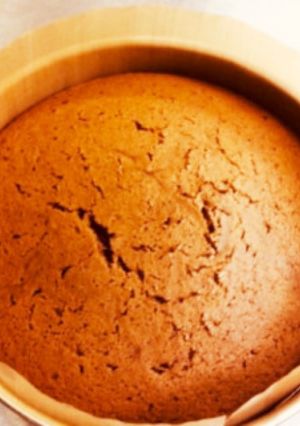 ジェノワーズ(スポンジ生地) ショコラ-レシピのメイン写真