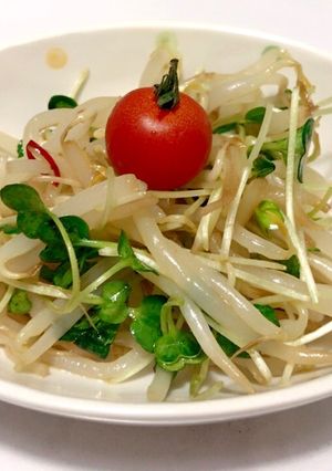 もやしとカイワレのおかかサラダ:-)-レシピのメイン写真