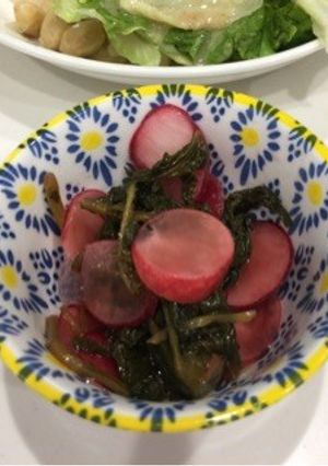 葉つきラディッシュの酢漬け-レシピのメイン写真