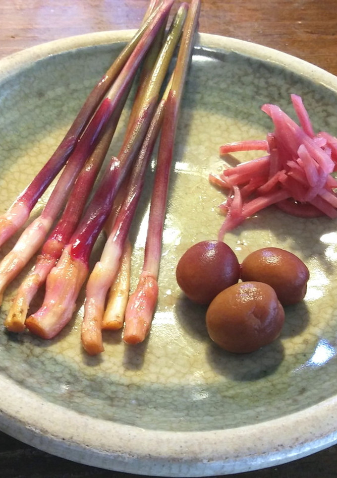 はじかみ生姜（矢生姜）の梅酢漬け-レシピのメイン写真