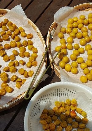 2017梅仕事-レシピのメイン写真