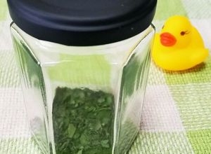バジル大量消費★手作りドライバジル♪-レシピのメイン写真