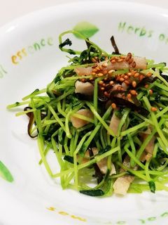 簡単❤豆苗の塩こんぶ炒め♪-レシピのメイン写真