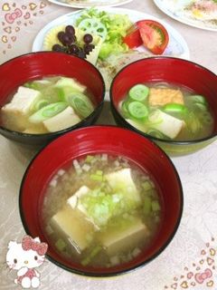 厚揚げと長ネギの味噌汁〜(o˘◡˘o)♡-レシピのメイン写真