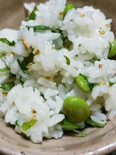 旨い(*^^*)枝豆ごはん♪-レシピのメイン写真