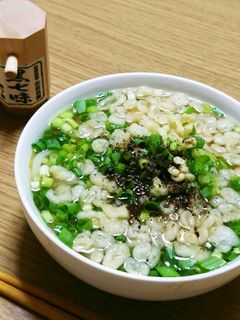 青ネギたっぷり(*^^*)たぬきうどん♪-レシピのメイン写真
