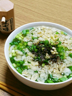 青ネギたっぷり(*^^*)たぬきうどん♪-レシピのメイン写真