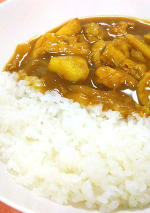 具材やわらか＊油あげの煮込みカレー＊-レシピのメイン写真