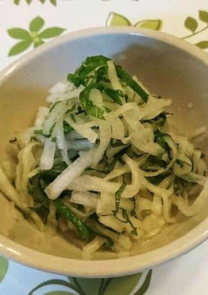 紫蘇と大根サラダ-レシピのメイン写真