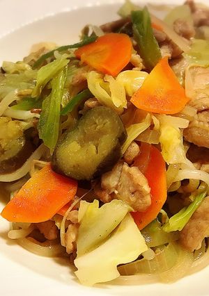 子どもも大好き！我が家の肉野菜炒め-レシピのメイン写真