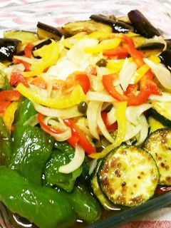 夏野菜たっぷり揚げ浸し-レシピのメイン写真