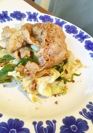 【麻辣味】豚肉と野菜のヘルシー味噌炒め-レシピのメイン写真