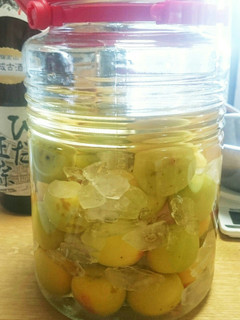 梅酒(日本酒版)-レシピのメイン写真
