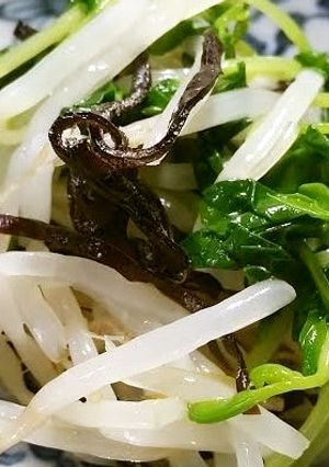 もやしと豆苗の昆布和え-レシピのメイン写真