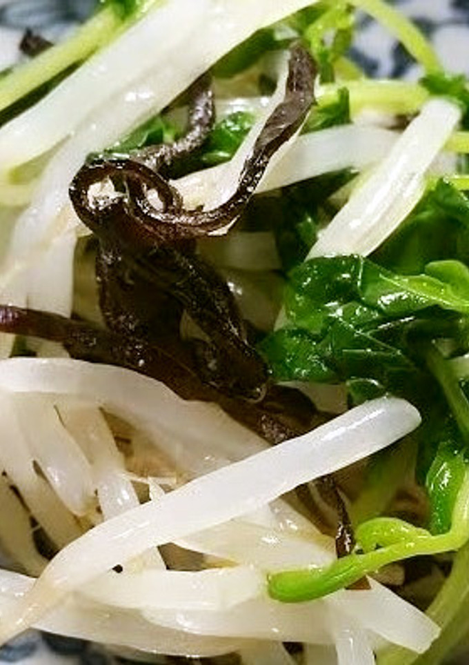 もやしと豆苗の昆布和え-レシピのメイン写真