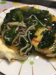 豆腐にほうれん草の餡掛け♪-レシピのメイン写真