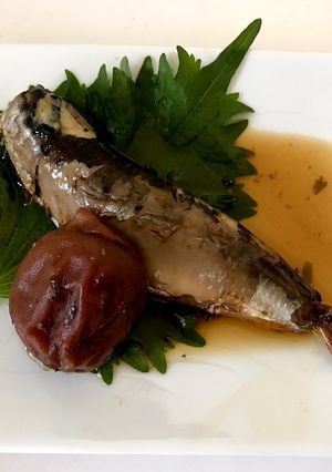 いわしの梅干煮-レシピのメイン写真
