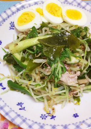 簡単水切りの豚肉入り野菜ダイエットサラダ-レシピのメイン写真
