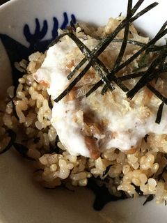 納豆とろろ玄米飯-レシピのメイン写真